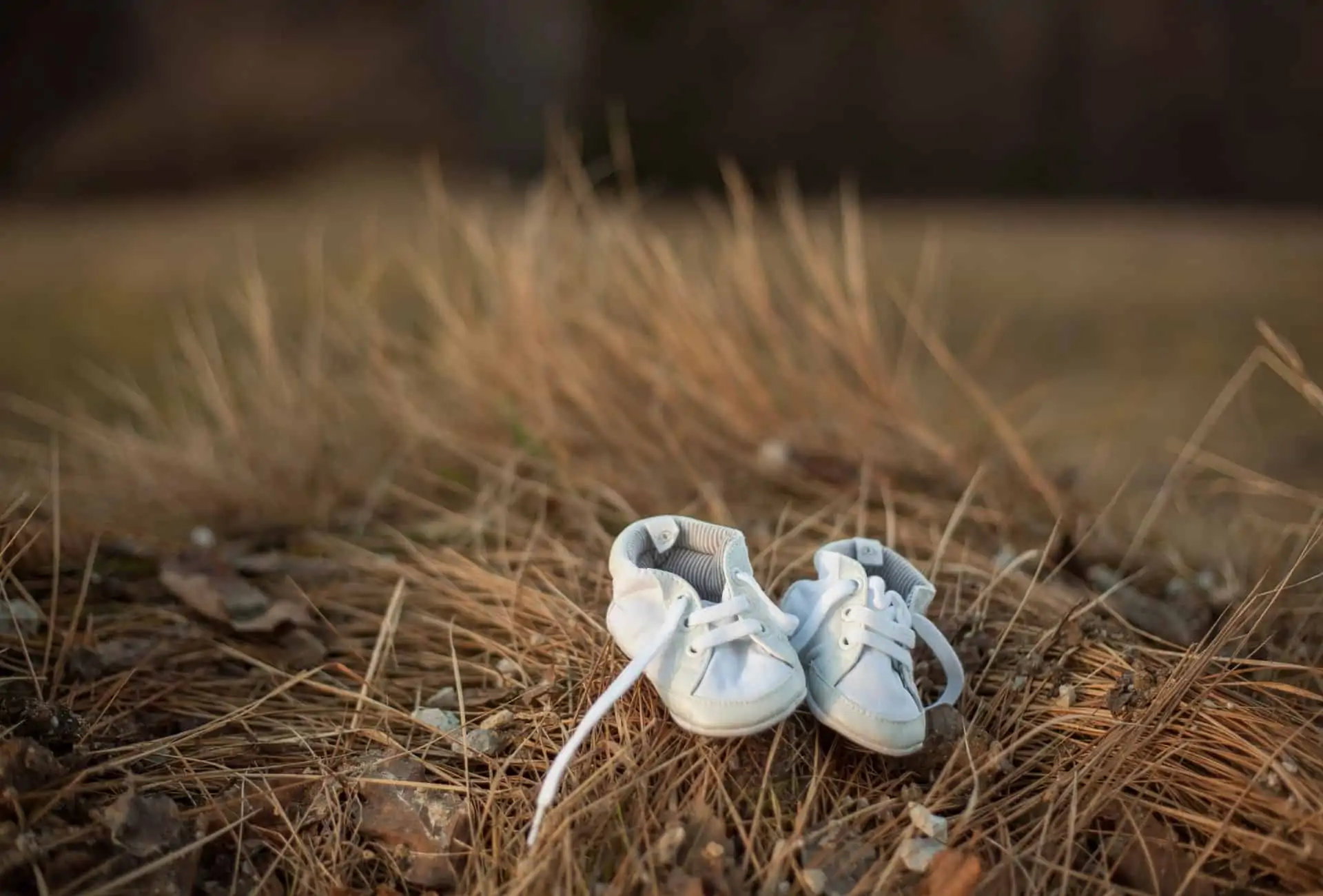 baby shoes laying in a field