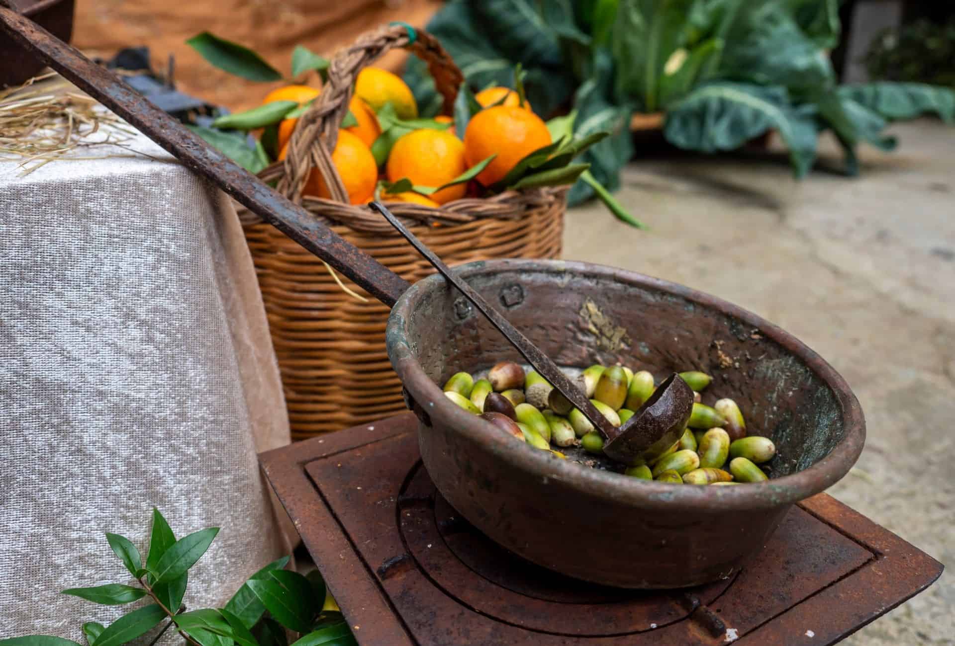 Acorns in an old pot
