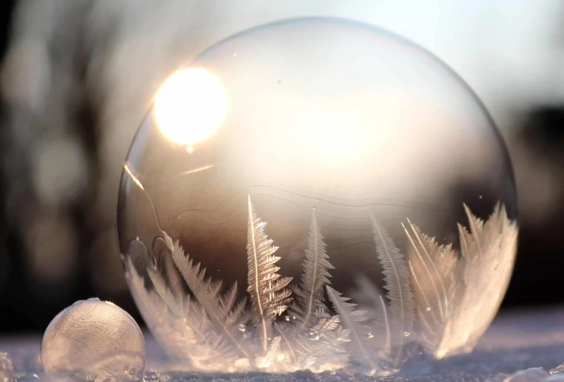Frozen ice bubble on the ground.