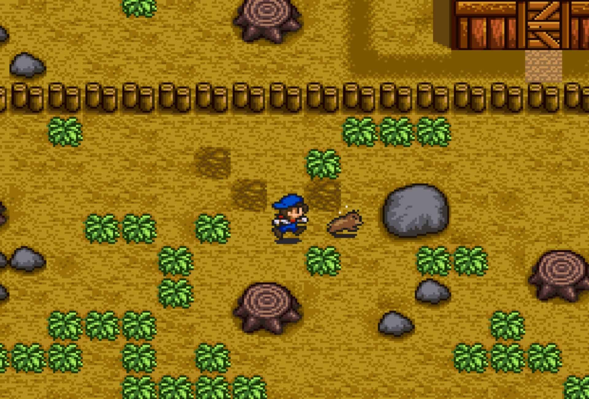 Harvest moon