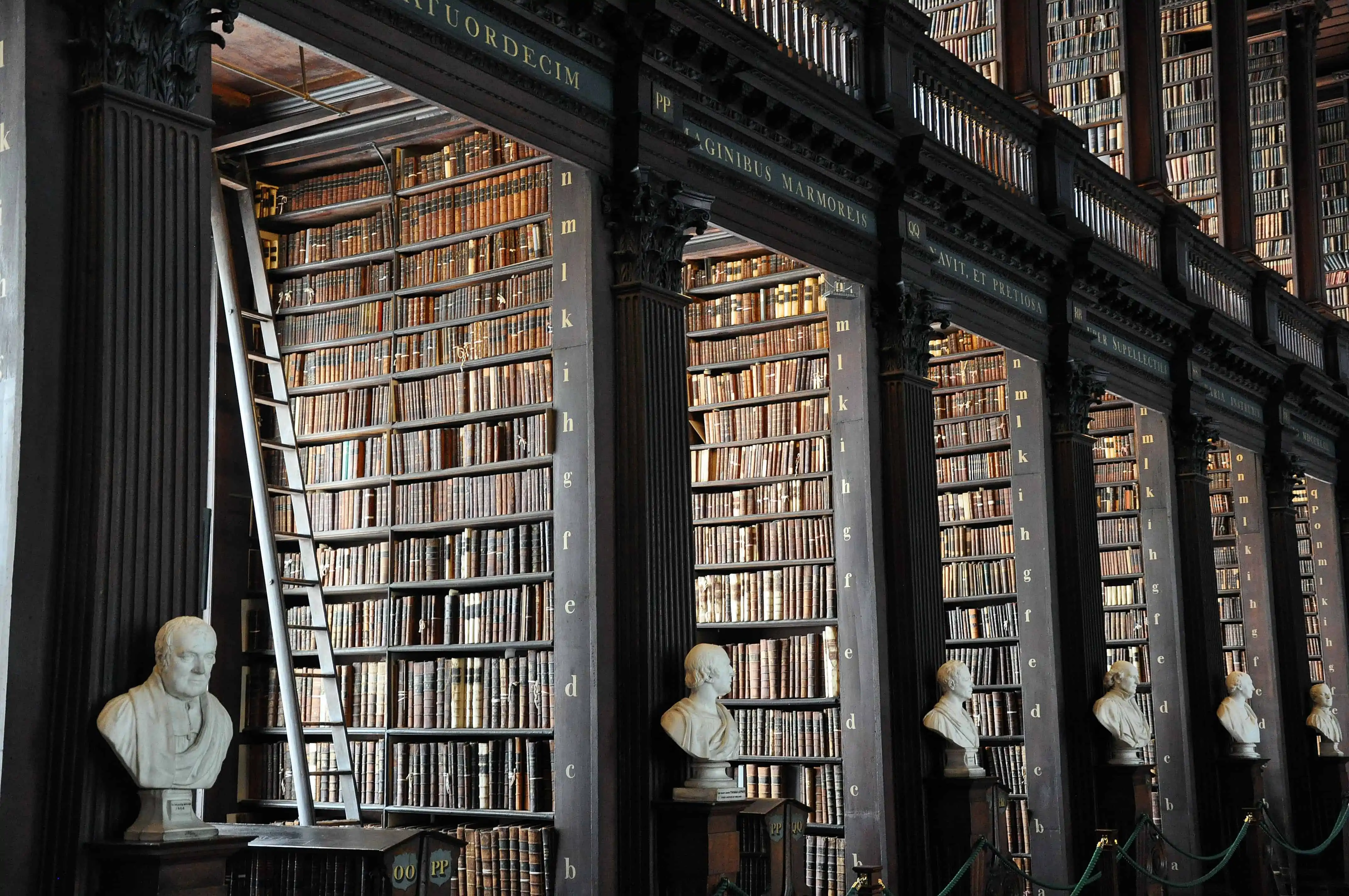 Black rows of bookcases with statues.
