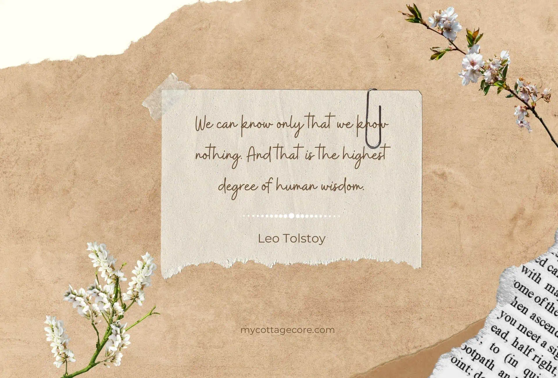 Dark academia quote by Leo Tolstoy.